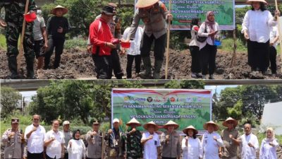 jajaran Polrestabes Palembang melaksanajan kegiatan penanaman jagung serentak